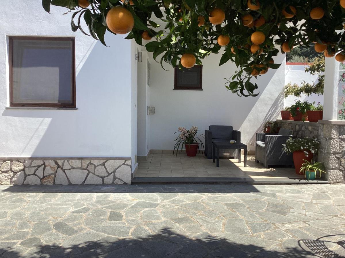 B&B Casetta Minghitto 아나카프리 외부 사진
