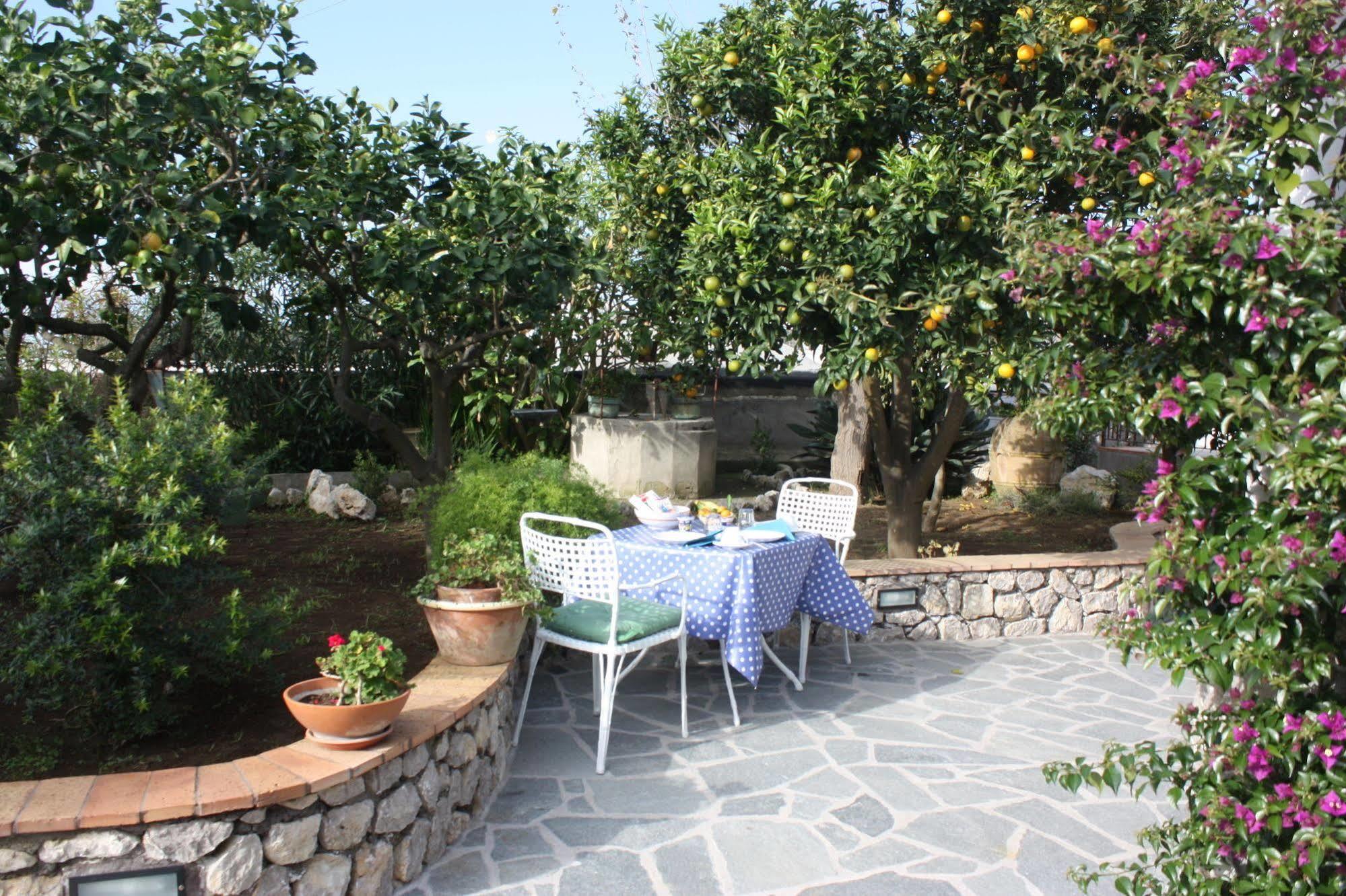 B&B Casetta Minghitto 아나카프리 외부 사진